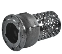 Клапан обратный чугун осевой с приемной сеткой диск чугун 16ч42р фл Луидор