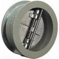 Клапан обратный чугун 2/створ диск нерж R60DW межфл Giacomini