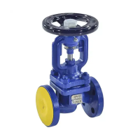 Клапан запорный сталь 234F фл сильфонный Zetkama